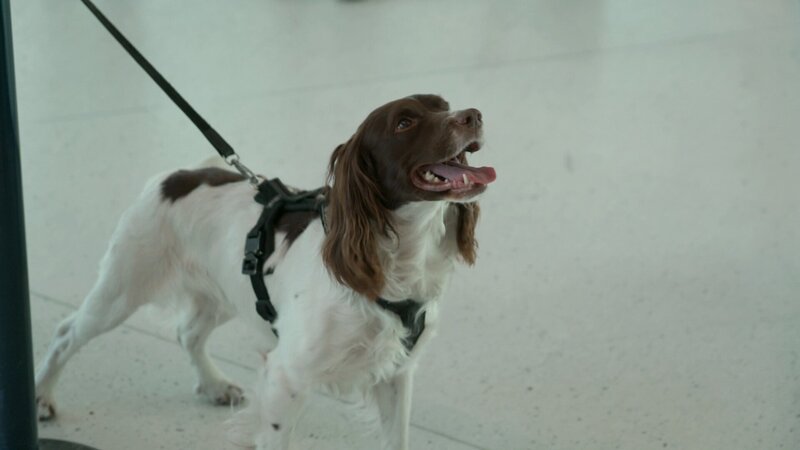 . – Bild: Warner Bros. Discovery