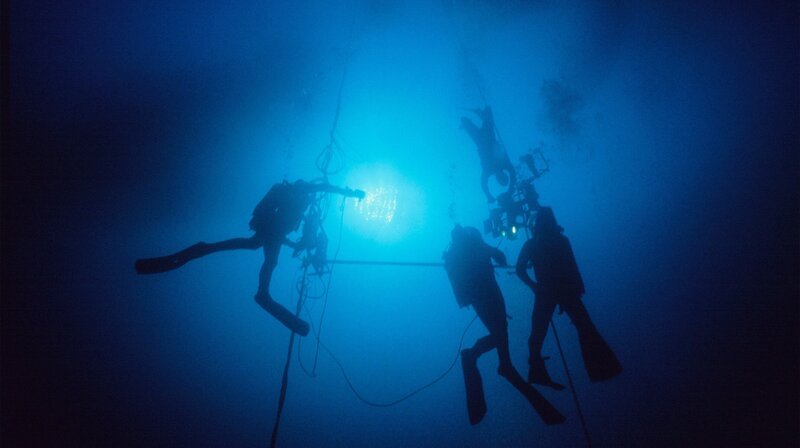 – Bild: Studiocanal GmbH – Bild: Studiocanal GmbH