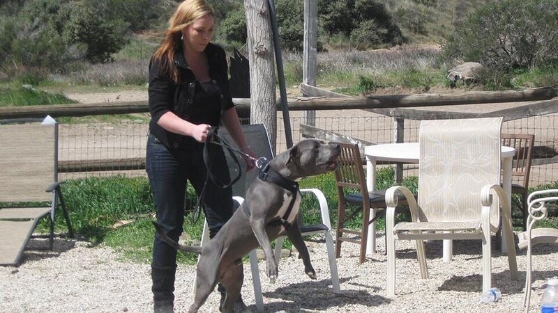 Bild: Discovery Communications Inc