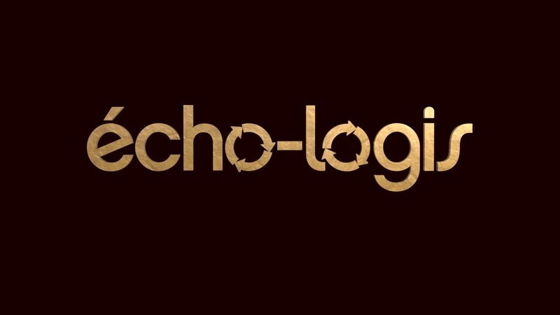 Bild: http:/​/​www.elmotionlab.com/​#echo-logis