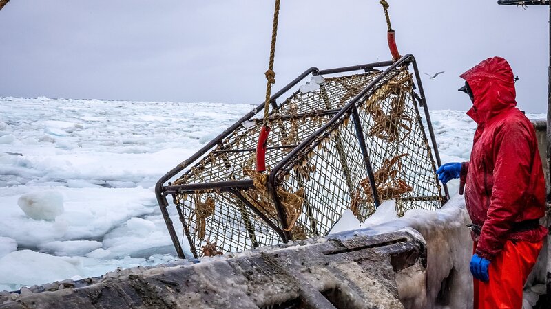 Northwestern-Deckhelfer Lauritz an der Reling, im Hintergrund das riesige Packeis, das den Pott transportiert. – Bild: Discovery, Inc.