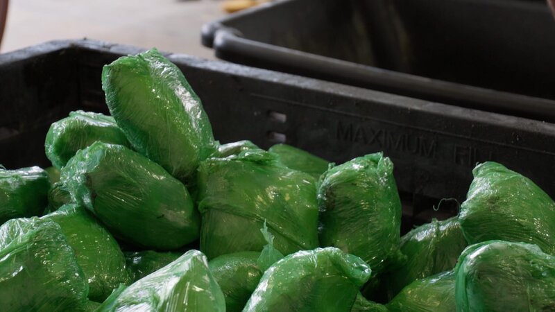 Bild: Lucky8 TV /​ National Geographic