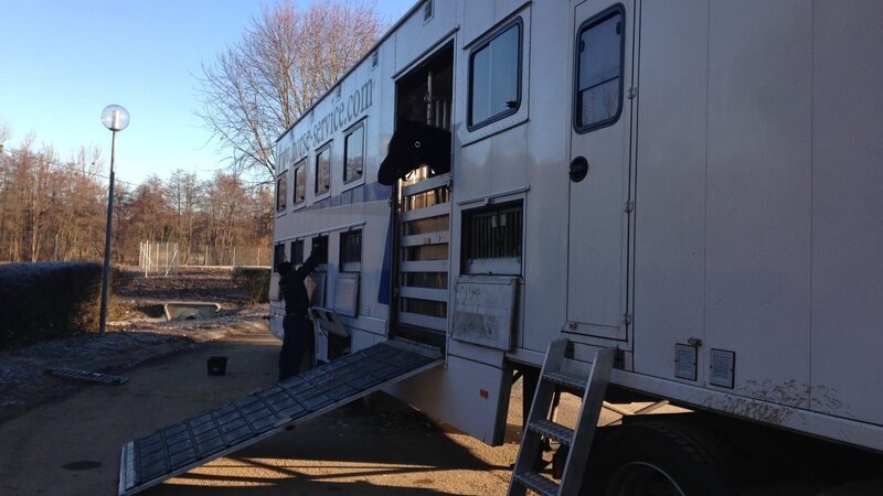 Ruhrarea-Trucker Mike takes a night ride to arrive Berlin in time. Plus, Thorsten has to pick up precious wood species for an auction. – Bild: Discovery Communications