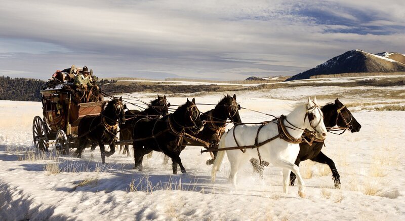  – Bild: PLURIMEDIA (SND /​ The Weinstein Company /​ Columbia Pictures)