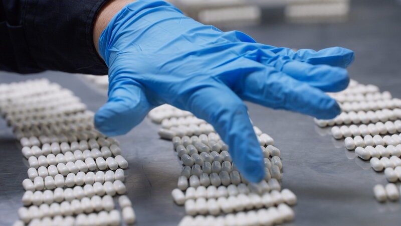 Bild: National Geographic