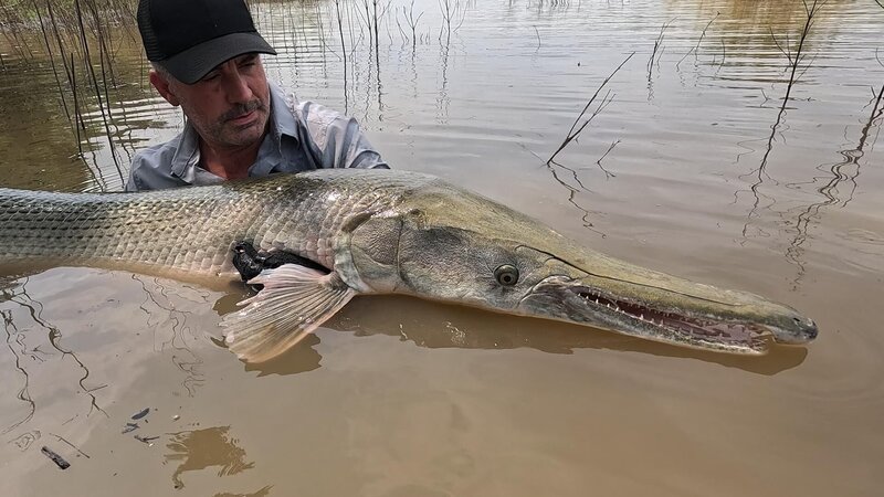 Bild: Licensed by Fremantle Media Enterprises Ltd. Lizenzbild frei