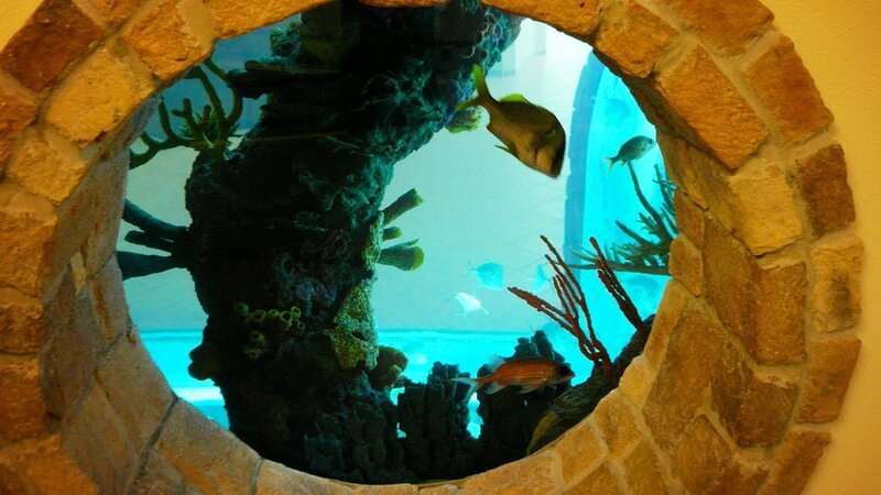 . – Bild: Warner Bros. Discovery