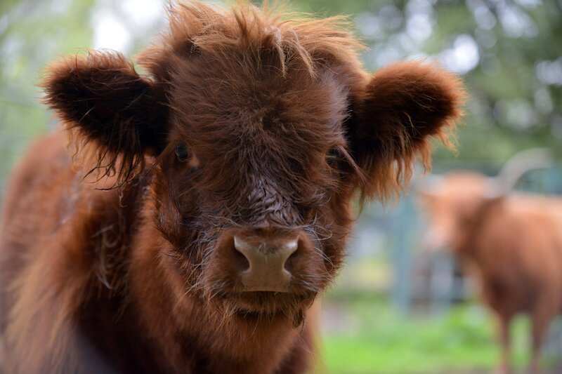 Bild: rbb/​Thomas Ernst