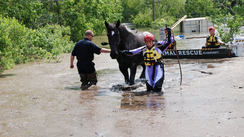 Bild: Discovery Communications