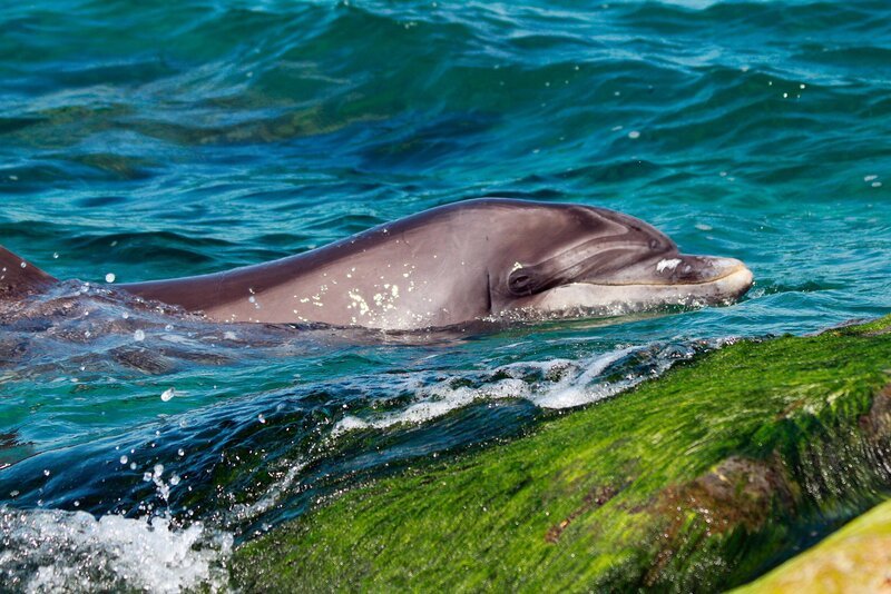 Bild: NDR/​Roland Gockel