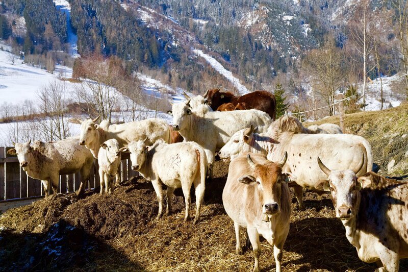 Bild: ORF/​Epo Film