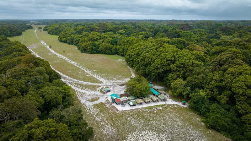 Im Forschungscamp Ozouga im Loango Nationalpark in Gabun arbeiten Forschende der Universität Osnabrück mit wildlebenden Schimpansen. – Bild: OLIVER ROETZ /​ ZDF