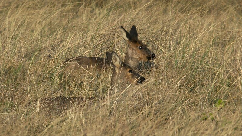 Bild: ZDF und arte, Roland Gockel