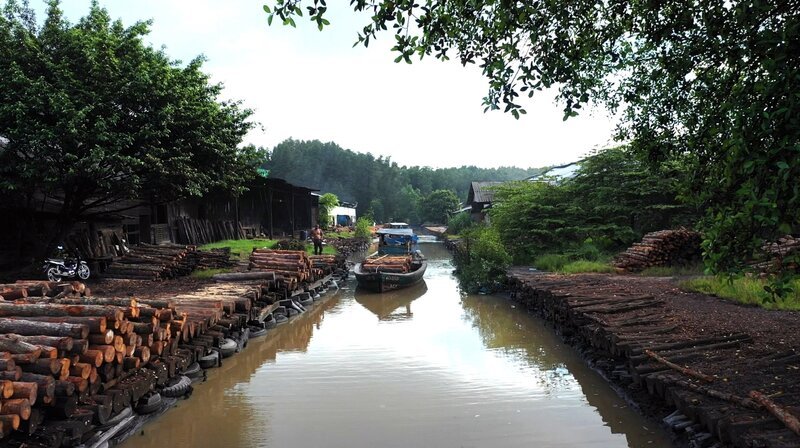 Familien Business Holzkohle: Täglich fahren Köhler mit Booten zur Mangrovenholz- Ernte. Der Wald wurde extra dafür angelegt. Rund 30 Familien leben in Kuala Sepetang an der Westküste Malaysias von der Holzkohle. – Bild: NDR/​nonfictionplanet
