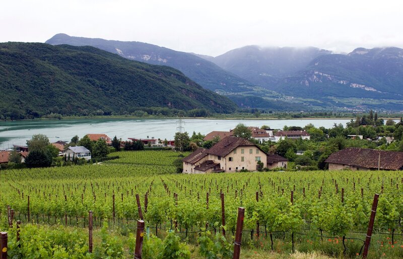 Am Kalterer See. – Bild: SWR/​Alexander Kluge