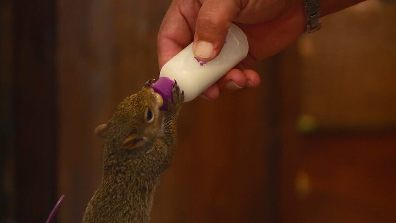 . – Bild: Warner Bros. Discovery