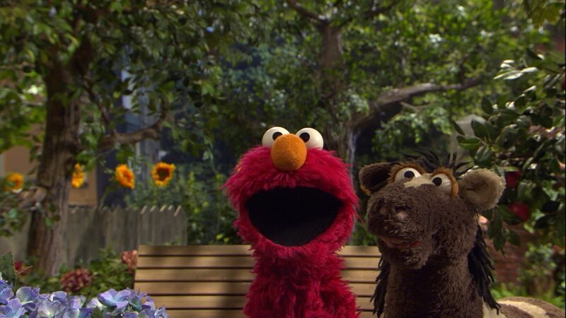 Pferd (r.) sucht noch nach einem Versteck vor Elmo (l.). – Bild: NDR/​Sesame workshop
