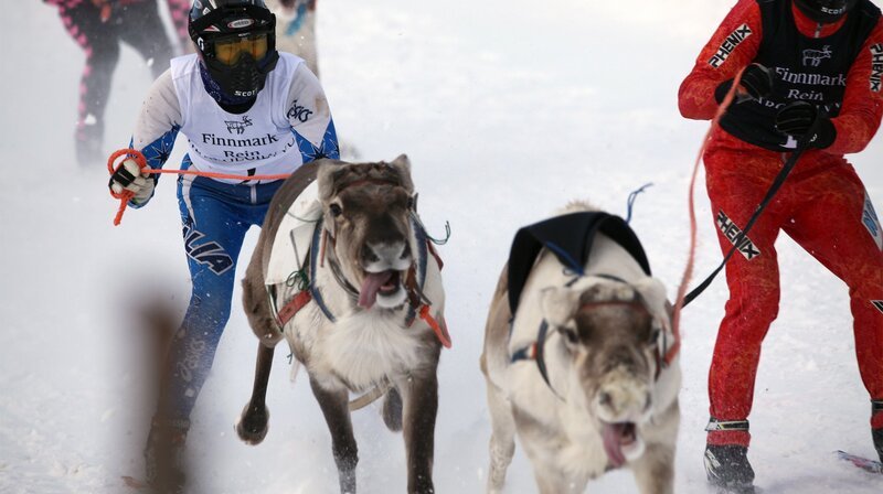  Sprintrennen in Karasjok.  – Bild: NDR/​Medienkontor/​J. Michael Schu