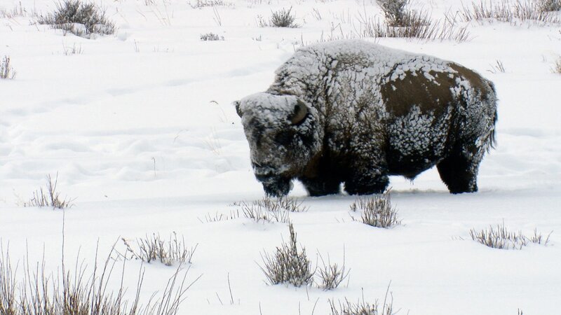 Bild: ZDF/​SWR/​Ralph Ströhle