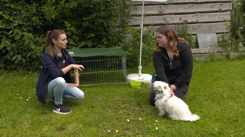 Folge 55 – Bild: RTL