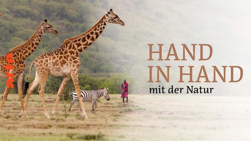 Bild: Arte