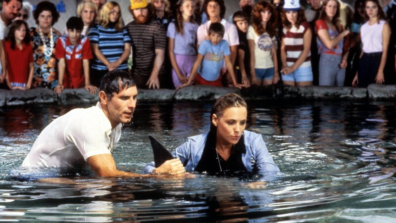 Der weiße Hai III – Bild: Turner /​ Courtesy of Photofest