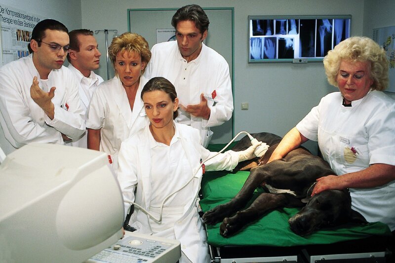 Dr. Schmidt (Walter Sittler, 2.v.re.) und seine Belegschaft (v.li.: Alexander Schottky, Roland Jankowsky, Mariele Millowitsch, Kerstin Thielemann, re. Komparsin) machen bei Hund Bijoux eine Ultraschalluntersuchung. – Bild: SUPER RTL