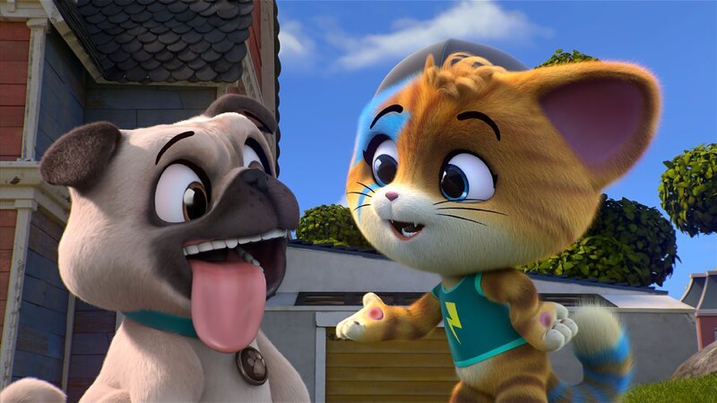 Lampo (r.) und die anderen versuchen, Terry beizubringen, sich wie eine echte Katze zu verhalten. – Bild: Rainbow S.r.l.