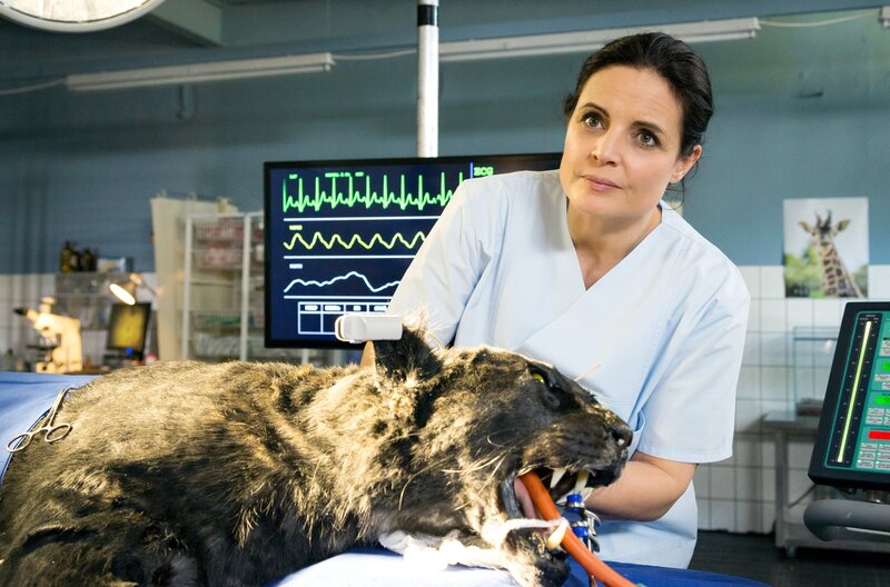 Bild: ARD/​Steffen Junghans