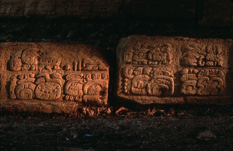 Bild: Alamy Stock Photo /​ Danita Delimont