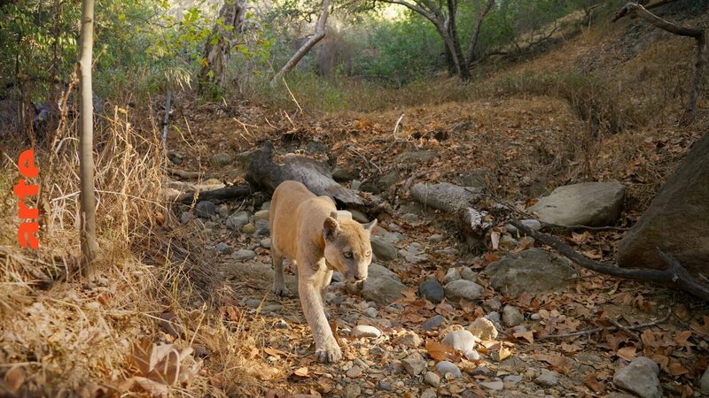 Bild: River Road Films