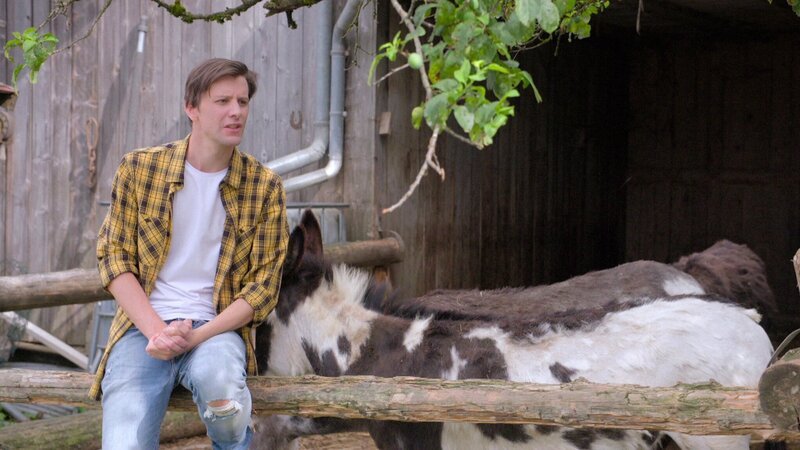 . – Bild: Courtesy of Disney+