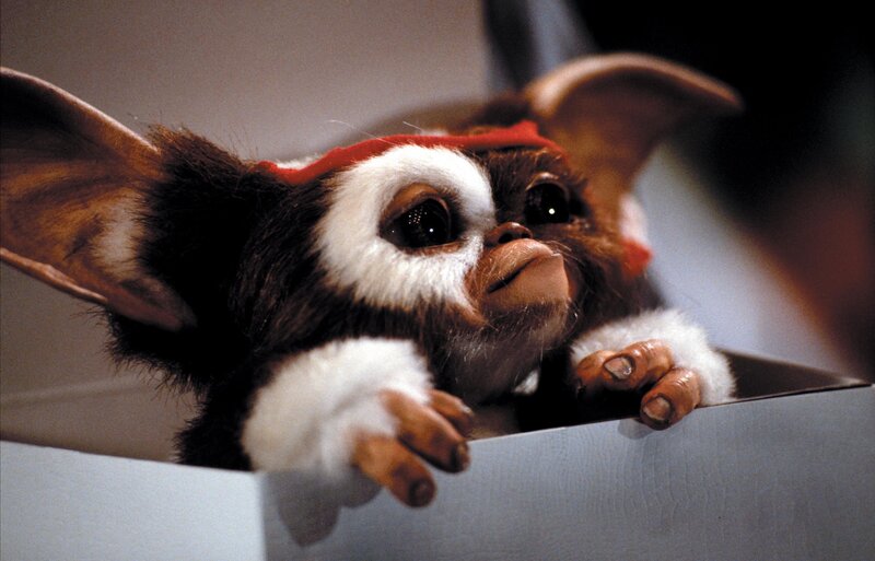 Gremlins II – Bild: Tele 5