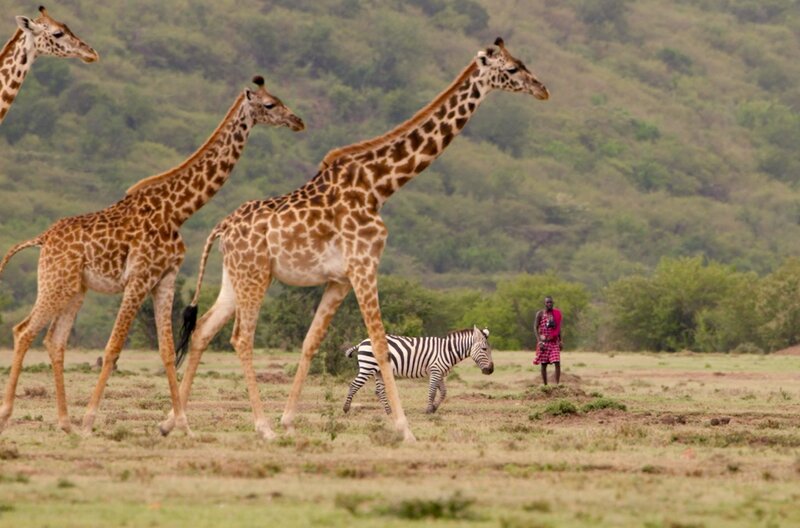 Bild: River Road Films