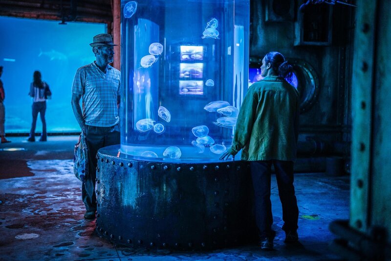 Bild: RTL /​ Studio Toselli