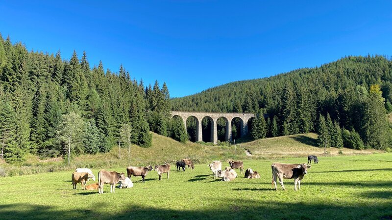 Das Chmarošský Viadukt im Dörfchen Telgárt ist ein technisches Denkmal und eines der beliebtesten Fotomotive der Slowakei. – Bild: NDR/​TELLUX-Film GmbH/​Till Lehmann