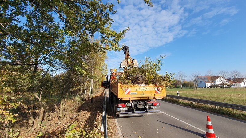 Bild: NDR/​Helge Hinsenkamp