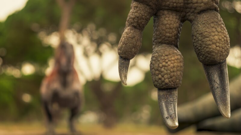 Bild: ZDF und BBC, Lola Post Production