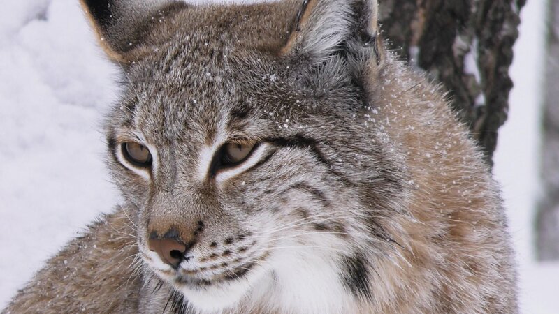  – Bild: RTL /​ Pototo Diez