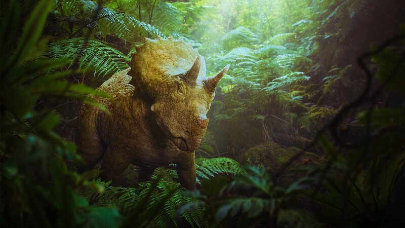 Das junge Triceratops-Mädchen Clover muss sich in der ersten Folge „Unter Dinos – Geheimnisse der Urzeit“ alleine durchschlagen. – Bild: ZDF und BBC /​ Lola Post Production