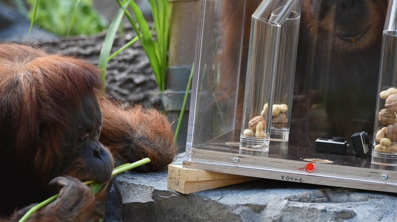 Bild: BR/​NDR/​Doclights GmbH