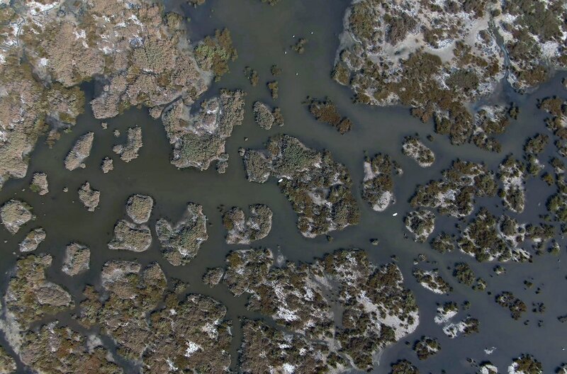 Die Sumpflandschaft um die Sanddüne ist durch den Fluss Ropotamo entstanden; wichtiges Brutgebiet für Wasservögel. – Bild: Torben Müller/​Vincent Productions