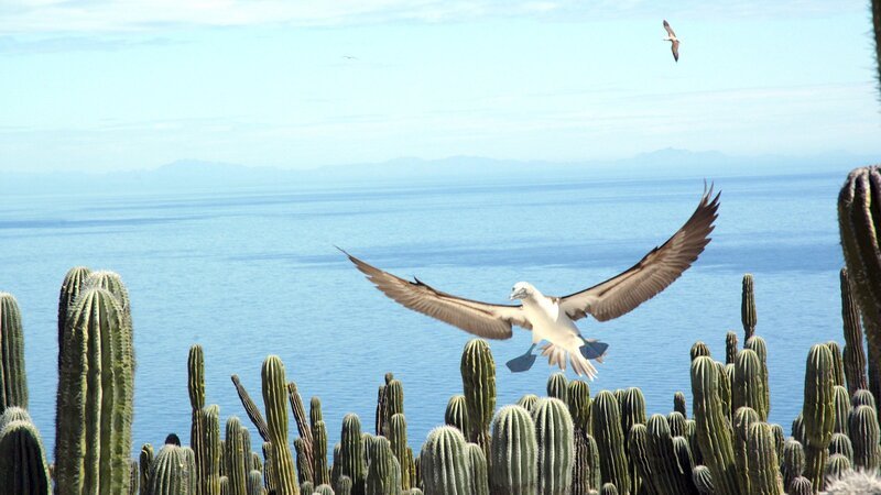  – Bild: ZDF und ORF, Mike Potts