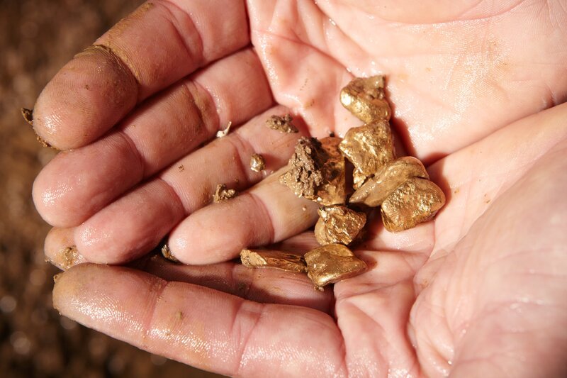 Detail of golden nuggets found by today prospector in sand of creek – Bild: Model release /​ David äpidlen