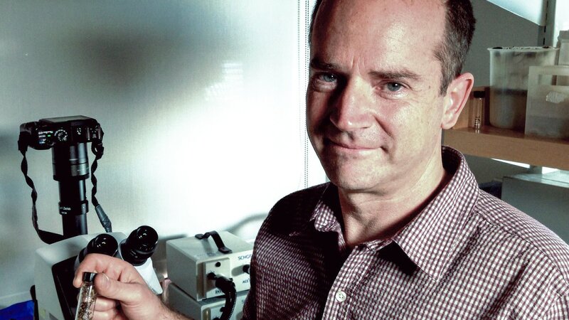 Mikrobiologe Tracy Mincer erforscht das Verhalten von Einzellern. – Bild: ZDF und Discovery Communications