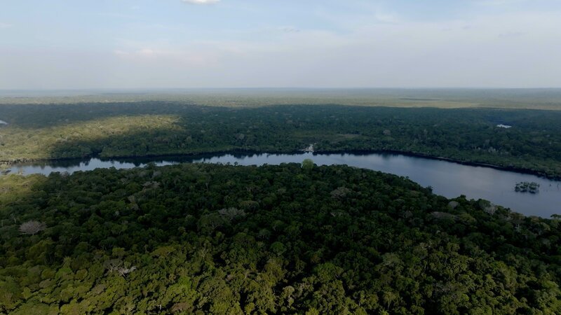 Der Amazonas-Regenwald ist ein riesiger CO2-Speicher. Allerdings nur dort, wo er intakt ist. – Bild: ZDF und Gabriel Hahn (Fotograf /​ Still Drohne)