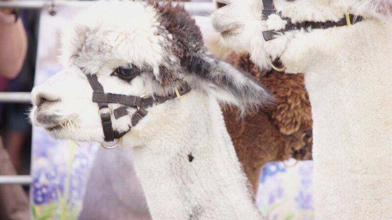 . – Bild: Warner Bros. Discovery