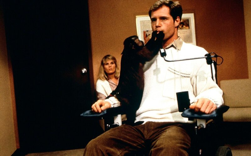 – Bild: Réalisé par George A. Romero / Cat’s Collection / Marlyse Press Photo/MPP/CAT’S  – Bild: Réalisé par George A. Romero / Cat’s Collection / Marlyse Press Photo/MPP/CAT’S