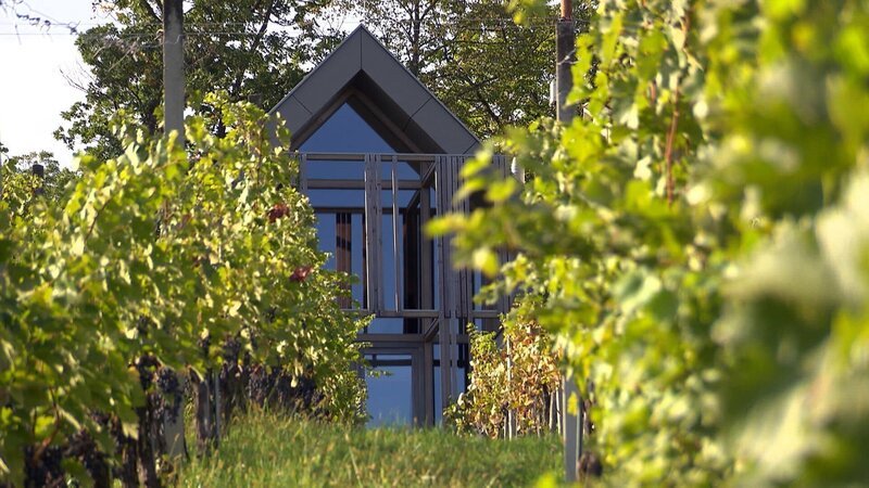 Weinloft am Eisenberg. – Bild: ORF III Weinloft am Eisenberg. – Bild: ORF III