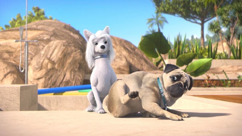 Bild: PLURIMEDIA (TeamTo)